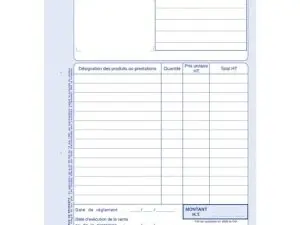 MANIFOLD AUTOCOPIANT ELVE FACTURES AUTO-ENTREPRENEUR A4 210X297MM FOLIOTAGE 50 DUPLIS