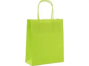 SAC KRAFT 90G/M2 POIGNEES TORSADEES 23X12X30CM PAQUET   50 UNITES COLORIS VERT 21370