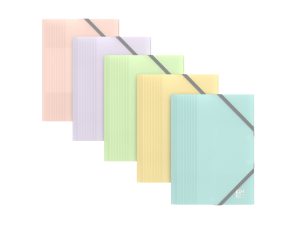 CHEMISE ELASTIQUE OXFORD A6 PP COLORIS ASSORTIS PASTEL    OPAQUE LOT 40 UNITES