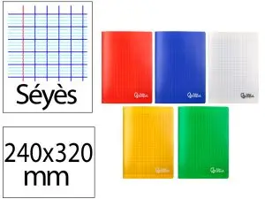 CAHIER PIQURE LIDERPAPEL COUVERTURE PP 240X320MM 96P   SEYES COLORIS ASSORTIS LOT 10 UNITES