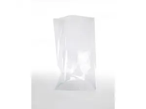 LOT SACHETS TRANSPARENTS GRAINE CREATIVE 18X30 CM 10 UNITES