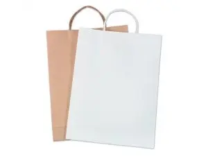 LOT SACS PAPIER KRAFT FOLIA 24X31CM 125G 20 UNITES COLORIS BRUN