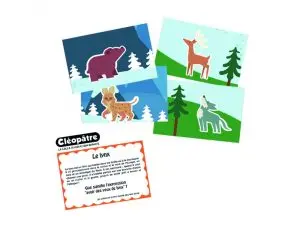 BON POINT CLEOPATRE IMAGES ANIMAUX DESSINES 9X14CM LOT DE 48 UNITÉS