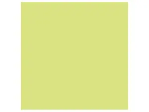 PAPIER DESSIN CLAIREFONTAINE CARTOLINE 50X65CM 120G COLORIS VERT CLAIR PAQUET 25 FEUILLES