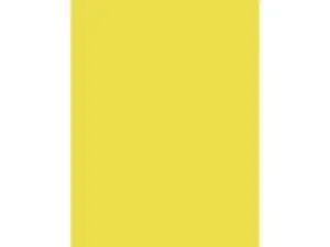 PAPIER AFFICHE CLAIREFONTAINE 60X80CM 90G COLORIS JAUNE     CLAIR PAQUET 25 FEUILLES