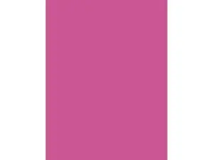 PAPIER AFFICHE CLAIREFONTAINE 60X80CM 90G COLORIS FUCHSIA   PAQUET 25 FEUILLES