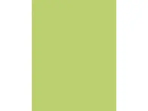 PAPIER AFFICHE CLAIREFONTAINE 60X80CM 90G COLORIS VERT      CLAIR PAQUET 25 FEUILLES