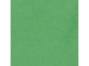 PAPIER DE SOIE CLAIREFONTAINE 50X75CM 18G COLORIS VERT      ROULEAU 24 FEUILLES
