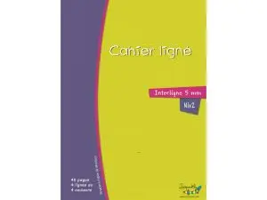 CAHIER HAMELIN SERPODILE 21X29.7 CM A4 48 PAGES DOUBLE LIGNE 5MM NIVEAU 2