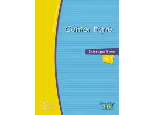 CAHIER HAMELIN SERPODILE 21X29.7 CM A4 48 PAGES DOUBLE LIGNE 3MM NIVEAU 3