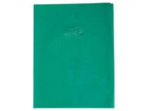 PROTEGE-CAHIER CLAIREFONTAINE 24X32CM PLASTIQUE 22/100E     OPAQUE COLORIS VERT