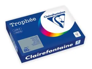 RAMETTE CLAIREFONTAINE PAPIER COULEUR A4 80G 500 FEUILLES   COLORIS GRIS ACIER