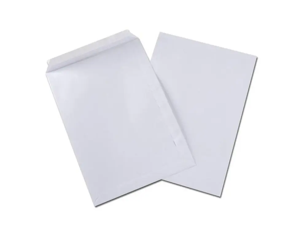 POCHETTES BLANCHES OXFORD AUTO ADHESIVES AVEC FERMETURE SECURISEE 229X324MM 250 UNITES