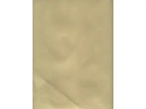 POCHETTES OXFORD KRAFT AUTO ADHESIVES AVEC BANDE DE       PROTECTION 229X324MM 250      UNITES