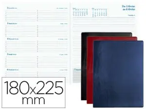 AGENDA EXACOMPTA ESPACE 22 SEMAINIER BARBARA JANVIER/JANVIER 1 SEMAINE 2 PAGES 225X185MM COLORIS ASSORTIS