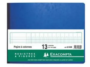 REGISTRE PIQÛRE EXACOMPTA COLONNES 320X250MM 31 LIGNES 13 COLONNES/PAGE 80 PAGES