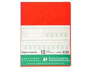 REGISTRE PIQÛRE EXACOMPTA COLONNES 250X320MM 33 LIGNES 15 COLONNES/2 PAGES 80 PAGES