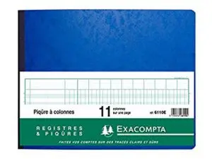 REGISTRE PIQÛRE EXACOMPTA COLONNES 320X250MM 24 LIGNES 11 COLONNES/PAGE 80 PAGES
