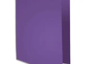 CHEMISE EXACOMPTA ROCK'S 240X320MM 210G COLORIS VIOLINE PACK100 UNITÉS