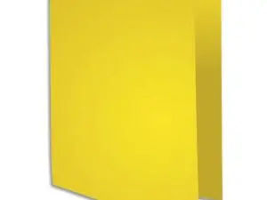 CHEMISE EXACOMPTA ROCK'S 240X320MM 210G COLORIS CITRON PACK 100 UNITÉS