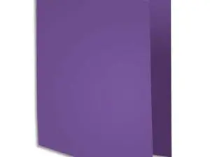 SOUS-CHEMISE EXACOMPTA ROCK'S 220X310MM 80G COLORIS VIOLET PACK 100 UNITÉS
