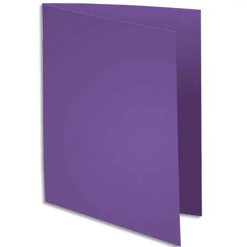 SOUS-CHEMISE EXACOMPTA ROCK'S 220X310MM 80G COLORIS VIOLET PACK 100 UNITÉS