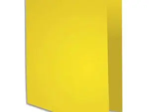 SOUS-CHEMISE EXACOMPTA ROCK'S 220X310MM 80G COLORIS CITRON PACK 100 UNITÉS