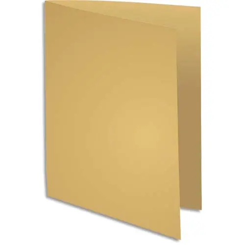 SOUS-CHEMISES EXACOMPTA ROCK"S 80G TEINTES VIVES POUR A4 DIM. 220X310MM - PAQUET DE 100 U