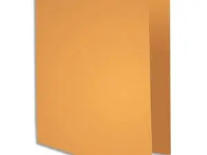 SOUS-CHEMISE EXACOMPTA ROCK'S 22X31CM 80G COLORIS OCRE PACK 100 UNITÉS