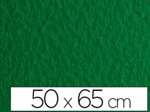 PAPIER DESSIN FABRIANO FEUILLE TIZIANO 160G 50X65CM UNICOLORE VERT BILLARD