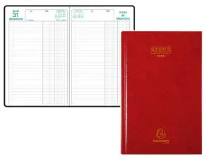 AGENDA RAISIN 24,5 X 16 1 JOUR COULEURS