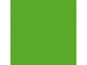 CAHIER PIQUÉ CONQUÉRANT CLASSIQUE COUVERTURE POLYPROPYLÈNE RIGIDE TRANSPARENTE A4+ 24X32CM 48 PAGES 90G SÉYÈS VERT