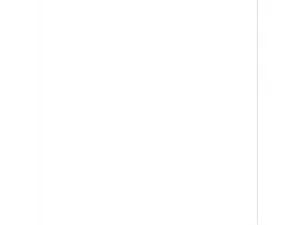 CAHIER PIQUÉ CONQUÉRANT CLASSIQUE COUVERTURE POLYPROPYLÈNE RIGIDE TRANSPARENTE A4+ 24X32CM 96 PAGES 90G 5X5 INCOLORE