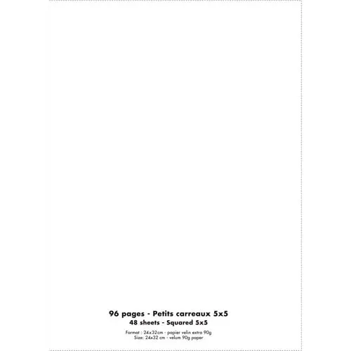CAHIER PIQUÉ CONQUÉRANT CLASSIQUE COUVERTURE POLYPROPYLÈNE RIGIDE TRANSPARENTE A4+ 24X32CM 96 PAGES 90G 5X5 INCOLORE