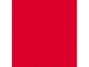 CAHIER CONQUERANT CLASSIQUE AGRAFE 240X320 96P 90G Q5 POLYPRO ROUGE PEFC