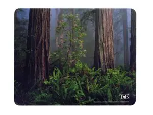 TAPIS SOURIS T NB RECYCLÉ ANTI DÉRAPANT ÉPAISSEUR 3MM COMPATIBLE OPTIQUE/LASER DÉCOR FORÊT FLEURS