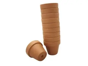 POT TERRE CUITE GRAINE CREATIVE DIAMETRE 5CM LOT 10  UNITES