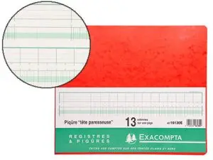 MANIFOLD COMPTABLE EXACOMPTA PIQUÉ TÊTE PARESSEUSE 320X250MM VERTICAL 31 LIGNES 80 PAGES 13 COLONNES/PAGE