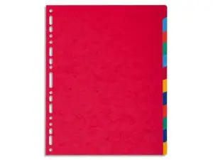 INTERCALAIRES EXACOMPTA CARTE LUSTRÉE RIGIDE FORMAT A4+ 24,5X29,7CM 12 POSITIONS COLORIS ASSORTIS