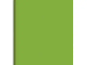 CAHIER PIQUÉ CONQUÉRANT CLASSIQUE COUVERTURE POLYPROPYLÈNE RIGIDE TRANSPARENTE A5+ 17X22CM 32 PAGES 90G SÉYÈS VERT