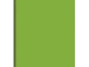 CAHIER PIQUÉ CONQUÉRANT CLASSIQUE COUVERTURE POLYPROPYLÈNE RIGIDE TRANSPARENTE A5+ 17X22CM 48 PAGES 90G SÉYÈS VERT