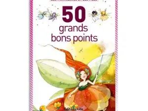 BON POINT ÉDITIONS LITO LES PRINCESSES ET LES FÉES TEXTE PÉDAGOGIQUE AU VERSO 140X102MM BOÎTE 50 UNITÉS