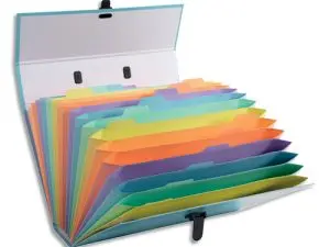 TRIEUR EXACOMPTA FAMILIAL A POIGNEE AQUAREL ASSORTIE 18   COMPARTIMENTS