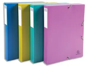 BOITE DE CLASSEMENT EXACOMPTA FOREVER YOUNG A4 POLYPROPYLENE DOS 40MM