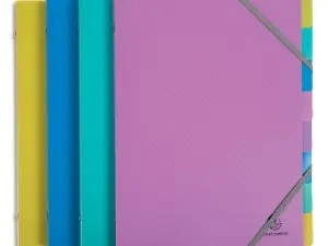 TRIEUR EXACOMPTA POLYPROPYLENE 3 RABATS        FOREVER YOUNG 8 COMPARTIMENTS