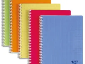 CAHIER CLAIREFONTAINE LINICOLOR RELIURE INTÉGRALE ASSORTIMENT FRESH A5+ 17X22CM 100 PAGES 90G 5X5MM