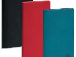 AGENDA EXACOMPTA PLANNING EXAPLAN 16 WINNER PLIAGE EN ACCORDÉON 90X160MM COLORIS ASSORTIS