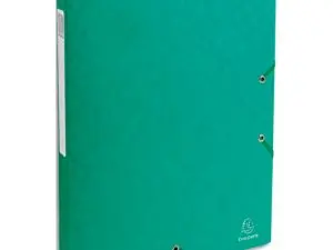 BOÎTE CLASSEMENT EXACOMPTA EXABOX CARTE LUSTRÉE 7/10E A4+ 25X33CM DOS 2,5MM COLORIS VERT
