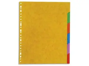 INTERCALAIRE EXACOMPTA CARTE MARBRÉE RECYCLÉE 220G 6 POSITIONS XXL COLORIS VIFS