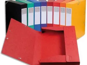 BOÎTE CLASSEMENT EXACOMPTA CARTOBOX CARTE LUSTRÉE 7/10E A4+ 25X33CM DOS 5CM LIVRÉE À PLAT COLORIS ASSORTIS LOT 10 UNITÉS